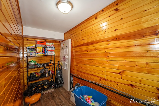 3770 Pine Ln, Saranac, MI 48881 - playroom with wood walls and dark wood finished floors