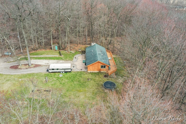 3770 Pine Ln, Saranac, MI 48881 - view of subject property