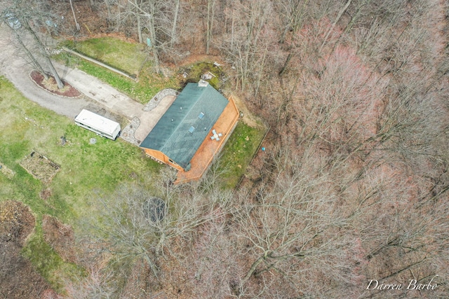 3770 Pine Ln, Saranac, MI 48881 - aerial view of property and surrounding area