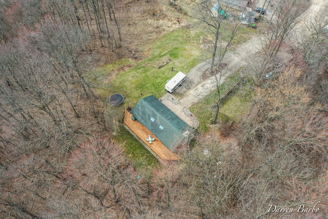 3770 Pine Ln, Saranac, MI 48881 - view of subject property