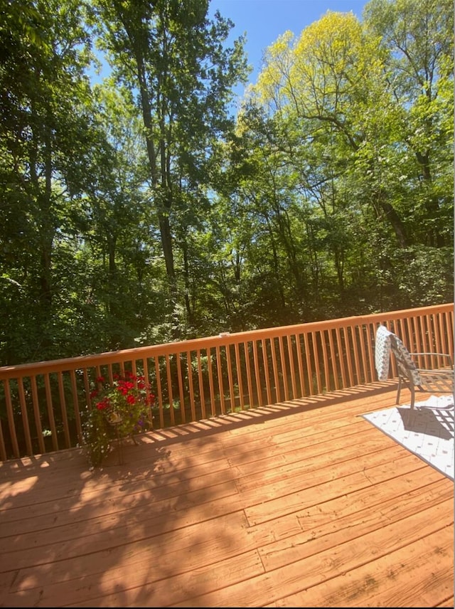 3770 Pine Ln, Saranac, MI 48881 - view of wooden deck