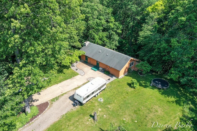 3770 Pine Ln, Saranac, MI 48881 - view of subject property featuring a heavily wooded area