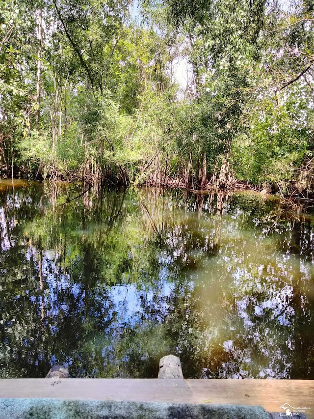 view of water feature