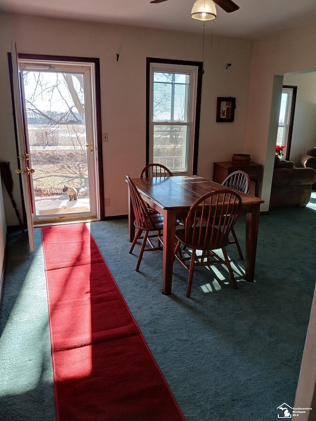 dining room with plenty of natural light, carpet floors, and ceiling fan