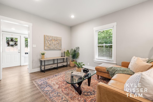 135 Houseman Ave NE, Grand Rapids, MI 49503 - living room featuring wood finished floors and recessed lighting