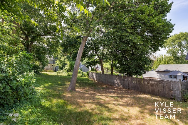 135 Houseman Ave NE, Grand Rapids, MI 49503 - view of yard