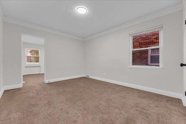 empty room with baseboards, carpet floors, and crown molding
