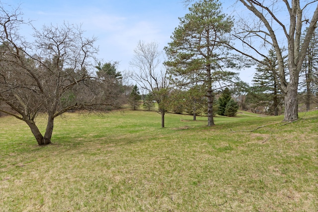 2975 Hadden Rd, Rochester, MI 48306 - view of yard