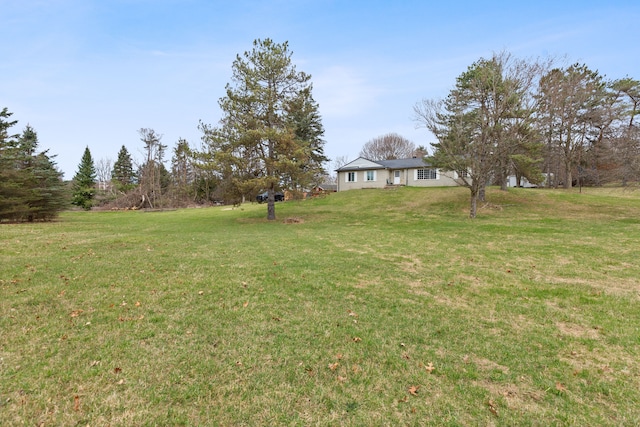 2975 Hadden Rd, Rochester, MI 48306 - view of yard