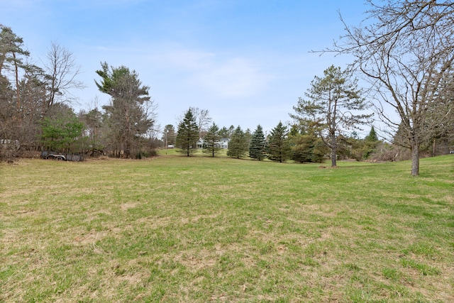 2975 Hadden Rd, Rochester, MI 48306 - view of yard