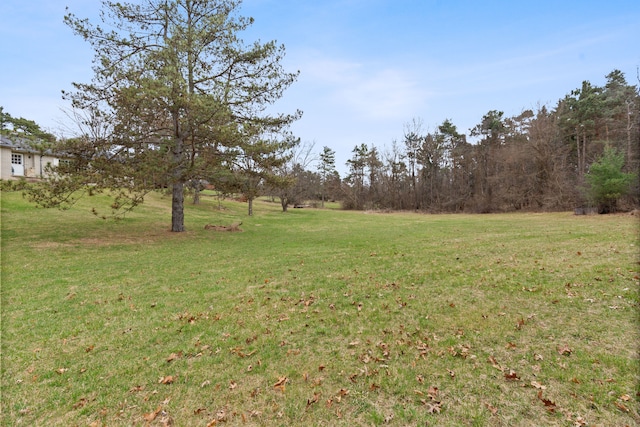 2975 Hadden Rd, Rochester, MI 48306 - view of yard