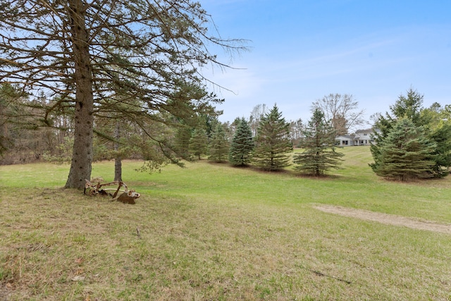 2975 Hadden Rd, Rochester, MI 48306 - view of yard