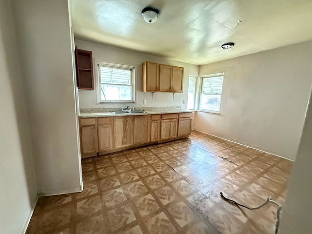kitchen with a sink, light countertops, baseboards, and open shelves