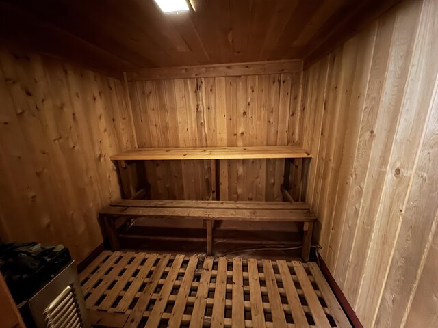 617 Cherry Ave, Big Rapids, MI 49307 - view of sauna