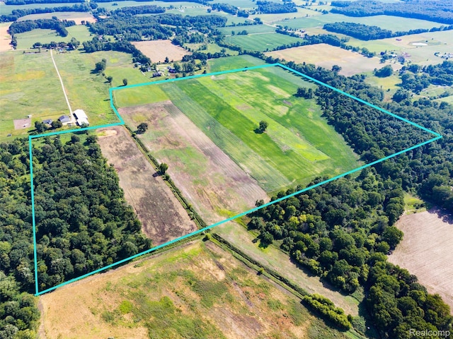 V/L Kleinschmidt Rd, Webberville, MI 48892 - photo 4