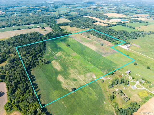 V/L Kleinschmidt Rd, Webberville, MI 48892 - photo 6