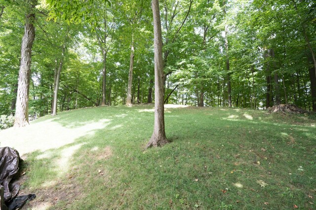 45778 Fermanagh Dr, Northville, MI 48168 - view of yard
