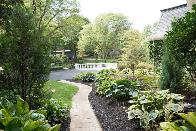 45778 Fermanagh Dr, Northville, MI 48168 - view of yard