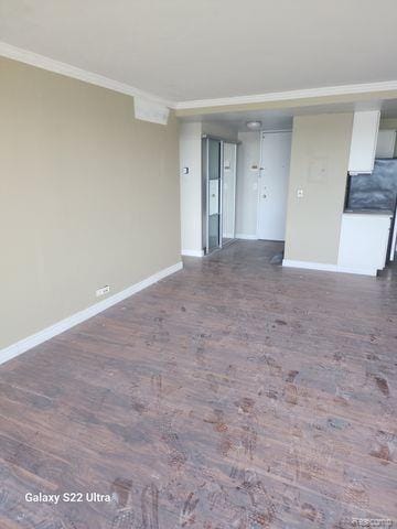 1300 E Lafayette St Unit 2803, Detroit, MI 48207 - empty room featuring ornamental molding and dark wood-style floors
