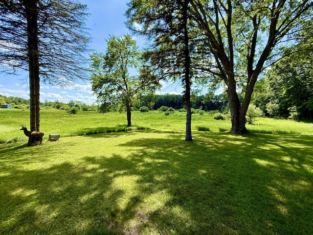 10976 Dewey Rd, Munith, MI 49259 - photo 10