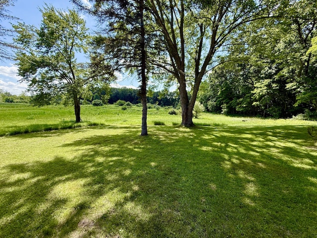 10976 Dewey Rd, Munith, MI 49259 - photo 1