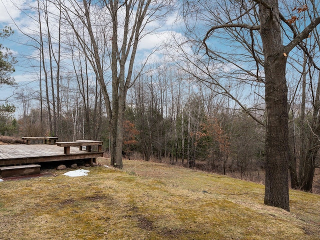 view of yard featuring a wooden deck