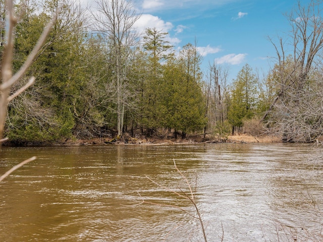 property view of water featuring a wooded view