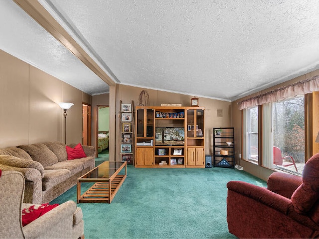 living room featuring a textured ceiling, lofted ceiling, and carpet