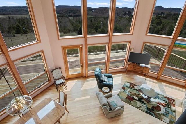 1693 Elm Rd, Frankfort, MI 49635 - living room with a mountain view, wood finished floors, a high ceiling, and a wooded view