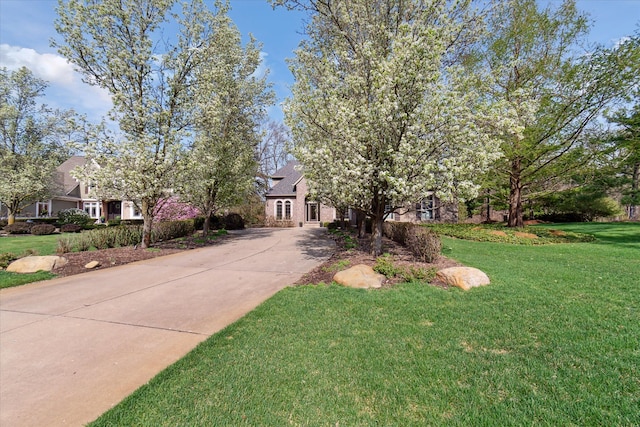 view of front of house with concrete driveway and a front yard