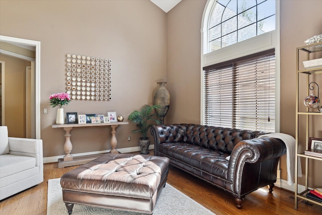 living room with baseboards and wood finished floors