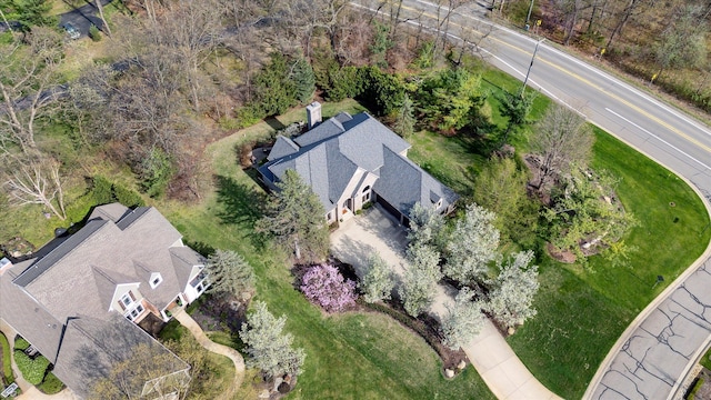 bird's eye view
