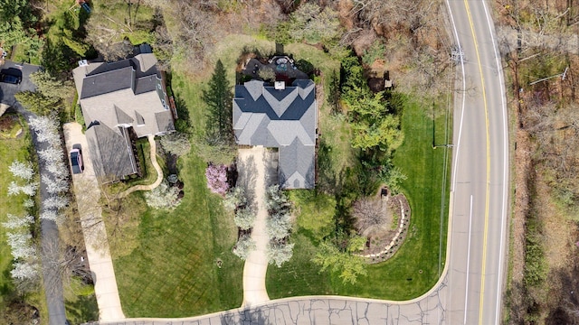 drone / aerial view