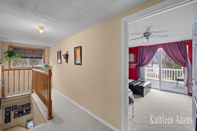 14319 Park Dr, Mecosta, MI 49332 - hallway with carpet floors and a textured ceiling