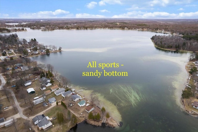 14319 Park Dr, Mecosta, MI 49332 - aerial overview of property's location featuring a nearby body of water and nearby suburban area