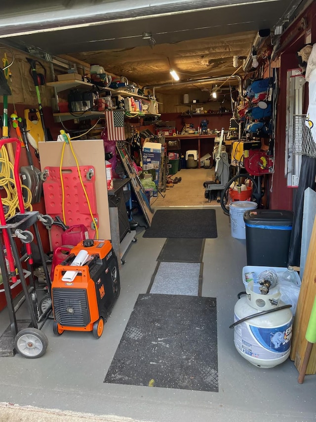14319 Park Dr, Mecosta, MI 49332 - garage featuring a workshop area