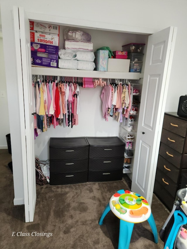 view of closet