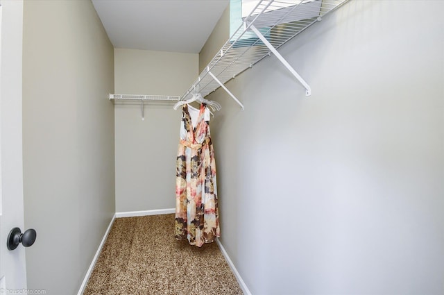 walk in closet with carpet
