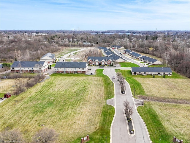 drone / aerial view