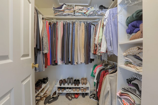 18735 Hilltop Blvd, Riverview, MI 48193 - spacious closet featuring carpet floors