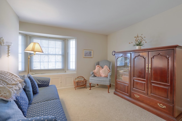 18735 Hilltop Blvd, Riverview, MI 48193 - sitting room with carpet flooring