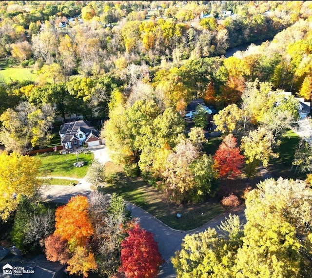 501 Dutch Mill Dr, Flushing, MI 48433 - aerial view of property and surrounding area