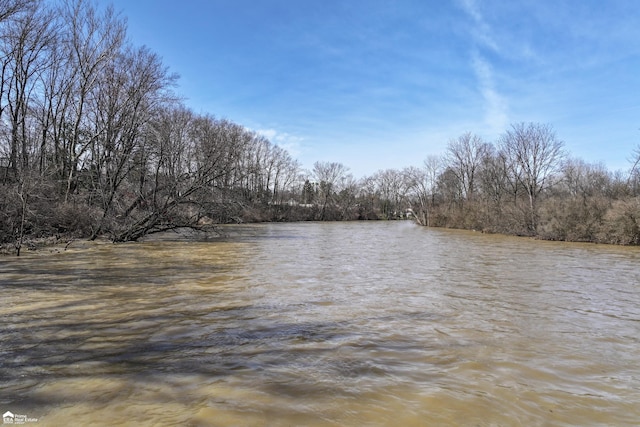 501 Dutch Mill Dr, Flushing, MI 48433 - water view featuring a forest