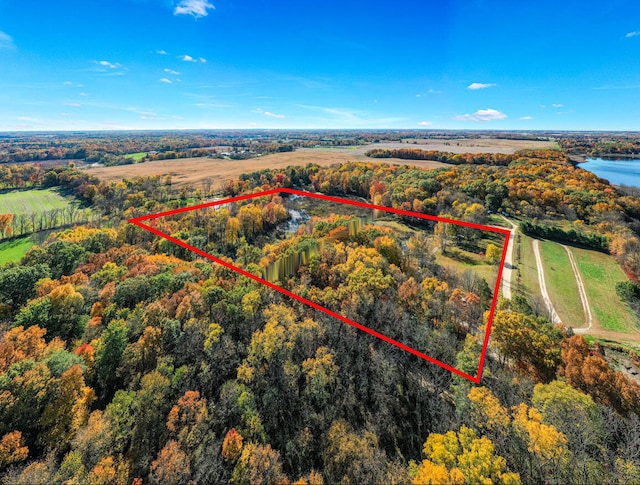 aerial view with a view of trees and a water view