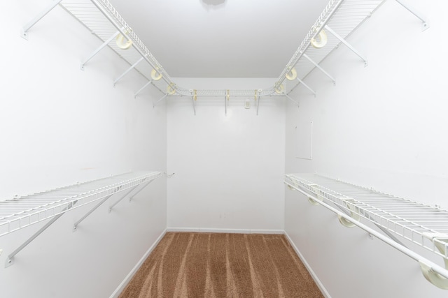 spacious closet featuring light colored carpet