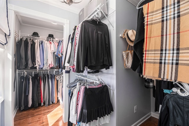 walk in closet with wood finished floors