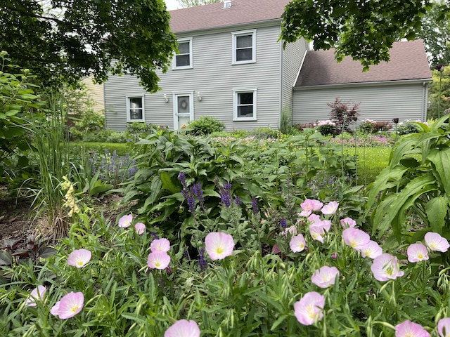 back of property with a shingled roof