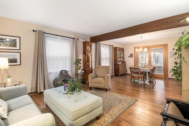 living room featuring hardwood / wood-style flooring, beam ceiling, an inviting chandelier, and plenty of natural light