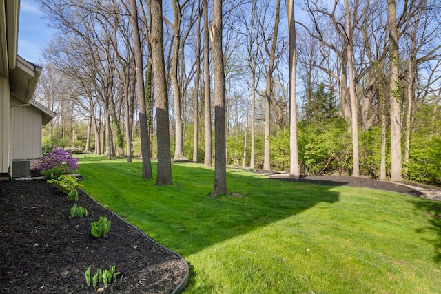 view of yard with central AC