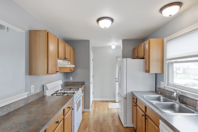 1053 Woodward Hts, Ferndale, MI 48220 - kitchen with baseboards, light wood-type flooring, white appliances, under cabinet range hood, and a sink
